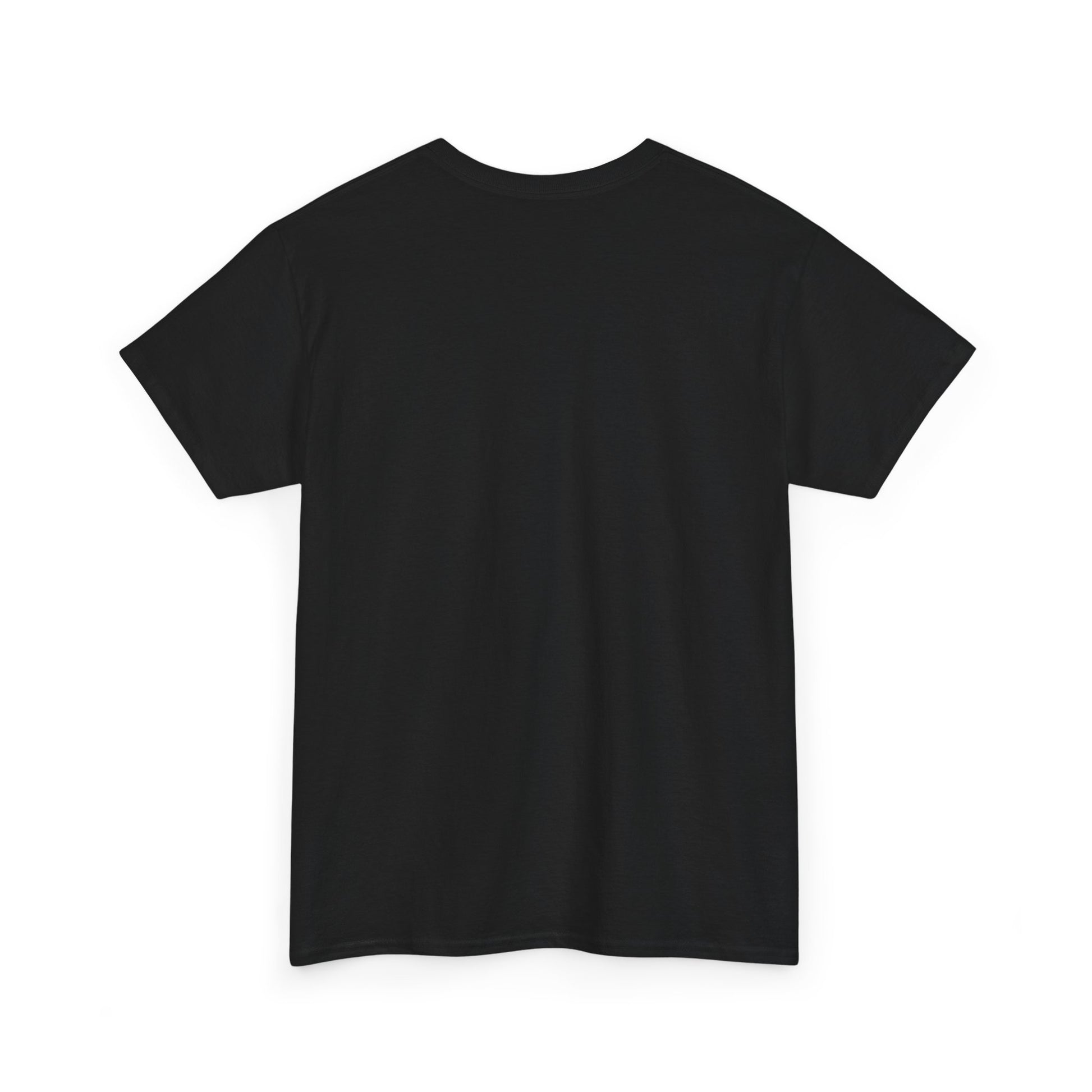 Healing in Progress Tee | Unisex Heavy Cotton Tee, Casual T-Shirt, Gift for Him/Her, Healing Shirt, Recovery Apparel